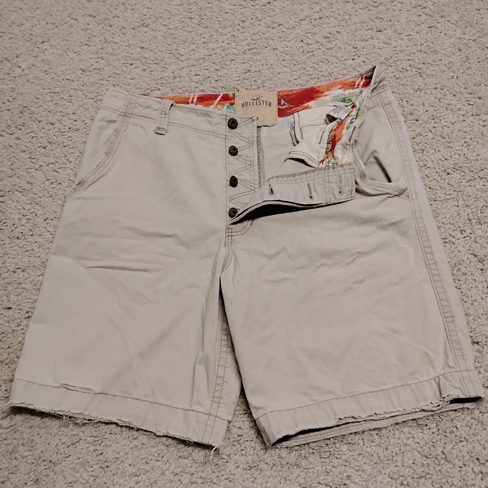 Vintage Hollister Shorts Mens 36 Skater Distressed Button Fly Heavy Surf Y2K